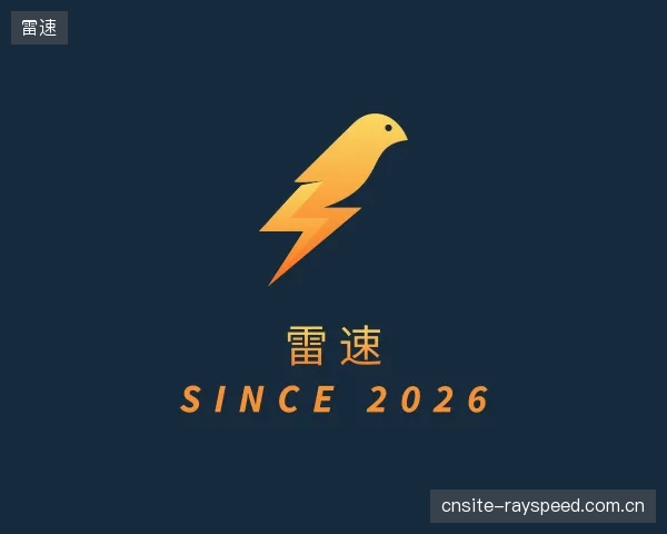 关于雷速集团